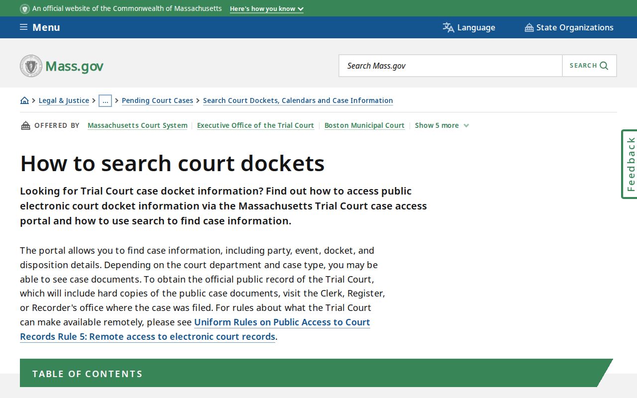 Berkshire County probation docket search fields and instructions
